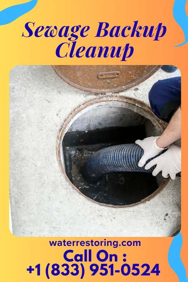Sewage Backup Cleanup in Billings, OK